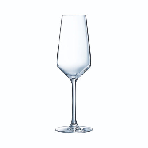 Ensemble 18 verres Vinetis