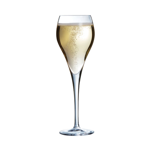 Brio flûte da champagne da 16 cl