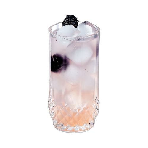 Verre haut 28 cl Longchamp