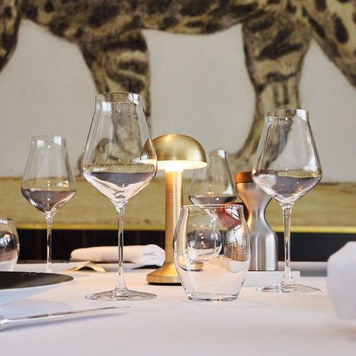 Ensemble 18 verres à pied Reveal Up