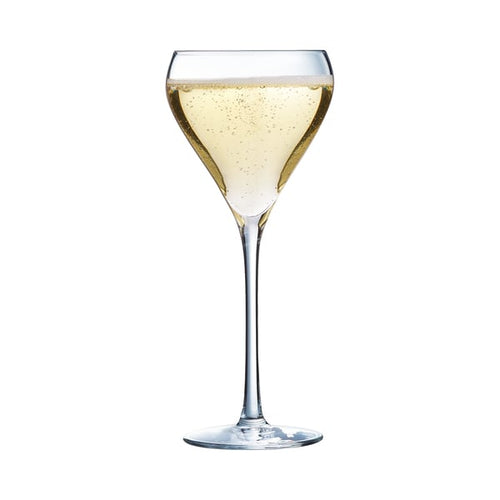 Coupe à champagne 21 cl Brio