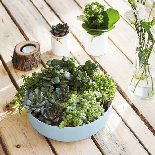 Saladier 22 cm Diwali Paradise Blue